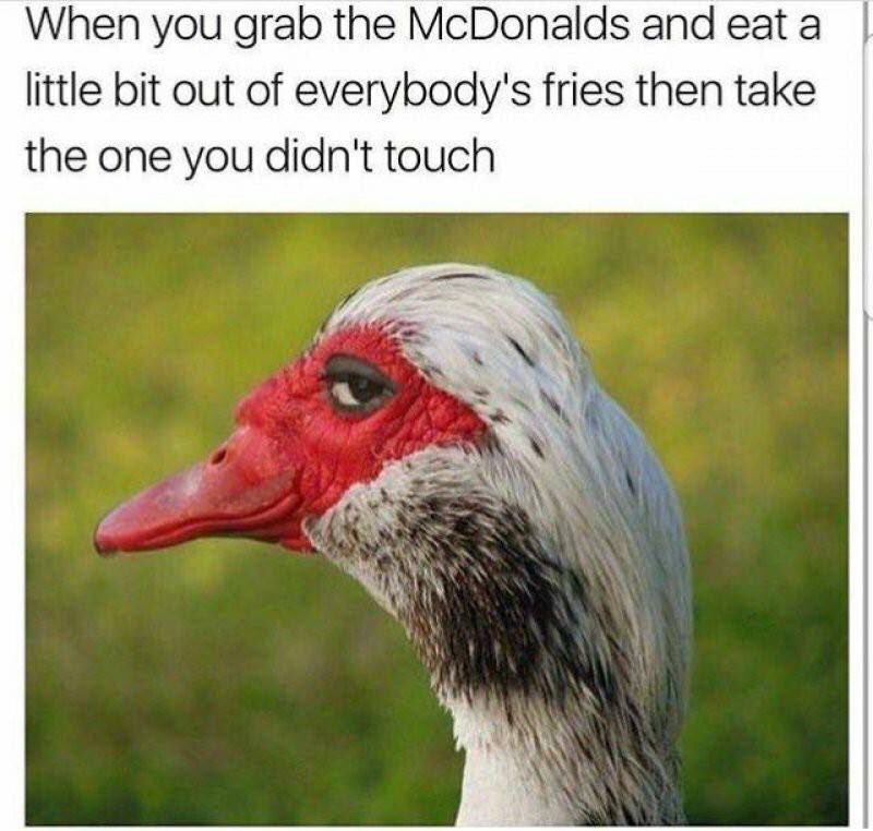 TheHumourSource's tweet image. Guilty as charged!