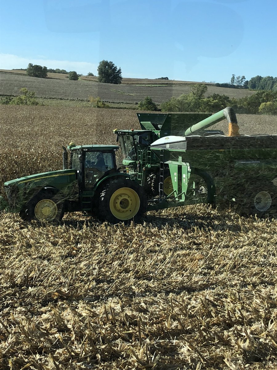 brfangus's tweet photo. P1366AM & @PioneerSeeds having impressive week in Cass County Iowa. Last week it wins our 20 hybrid plot, today we weighed #ncgayieldcontest 274 bu/acre adjusted dry over 4 acres. #YieldHero #SeedproNorth with you from the word goπ https://t.co/kCuGrPXxAj