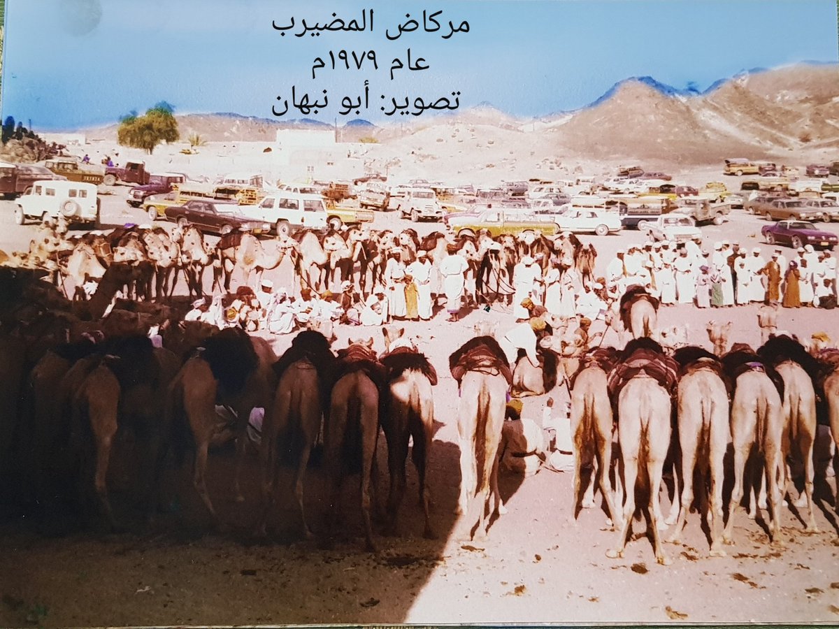 صور حصرية تنشر لأول مرة لمركاض المضيرب عام ١٩٧٩م وتظهر فيها الجمال وعدد كبير من الحضور

تصوير: سلطان بن أحمد الحارثي
<a href="/Sa701Ahmed/">سلطان بن أحمد الحارثي</a>