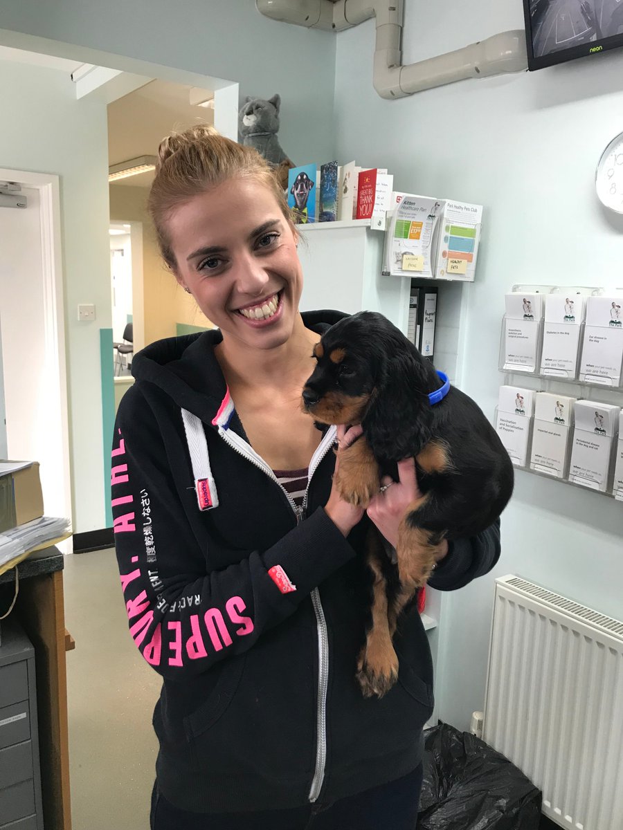 Park Vets tweet media