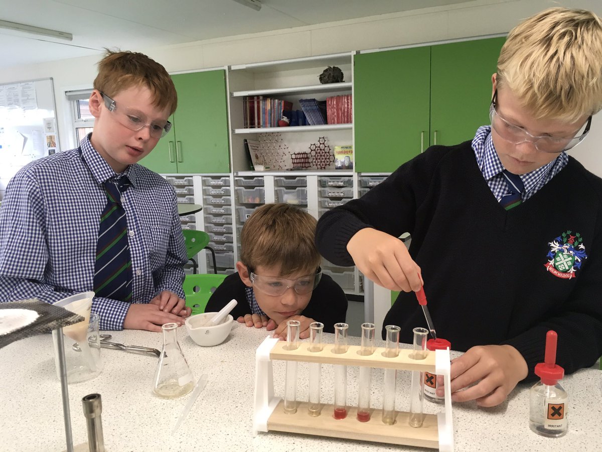 MPSscience's tweet photo. Revamping a classic experiment in science club - turns out that blueberries make a great indicator of acids and alkalis #colourfulscience #chemistry https://t.co/FYDMEb9KKb