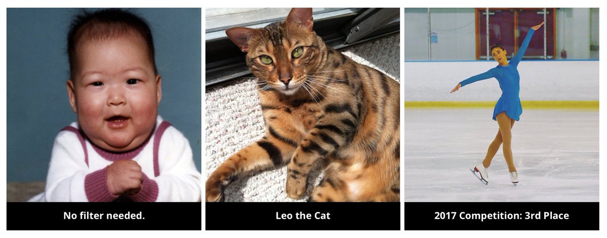 Happy, happy birthday to the multi-talented Laura Geror, BK Senior Art Director, ice skater, cat mom, photographer, and friend. ⛸⛸