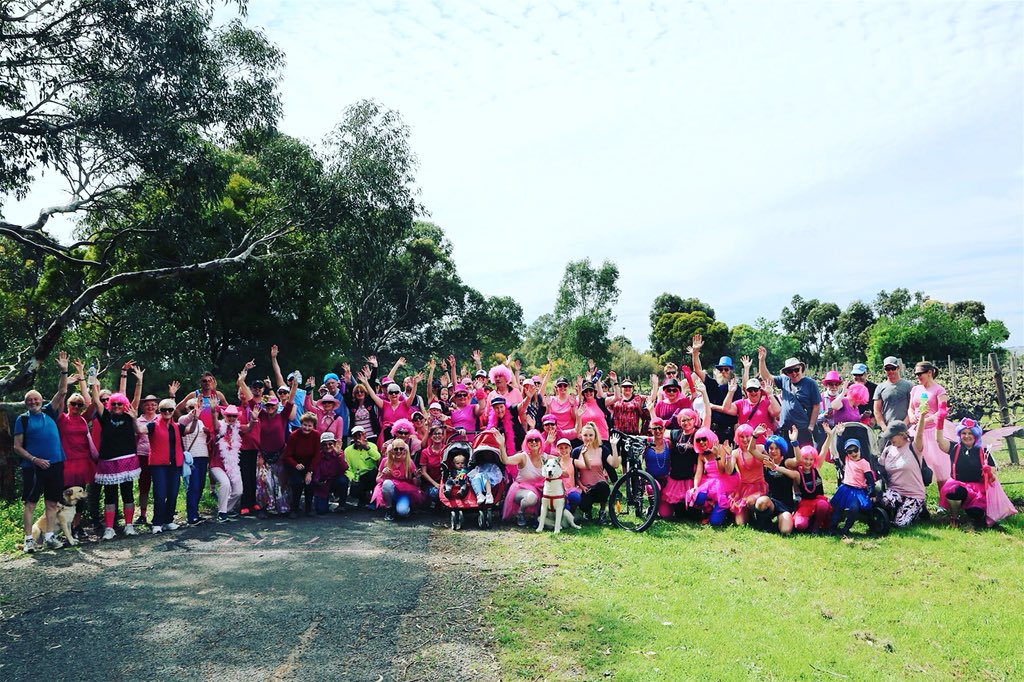pincandsteel's tweet image. WOOOOWWWW!!! THANK YOU!!! to this INCREDIBLE group of PINC&amp;amp;STEEL program supporters, certified Physios and volunteers who turned the Vale market in South Australia pink and blue!! Huge thank you to you on behalf of the program participants. #moveovercancer 
#pincandsteelaustralia