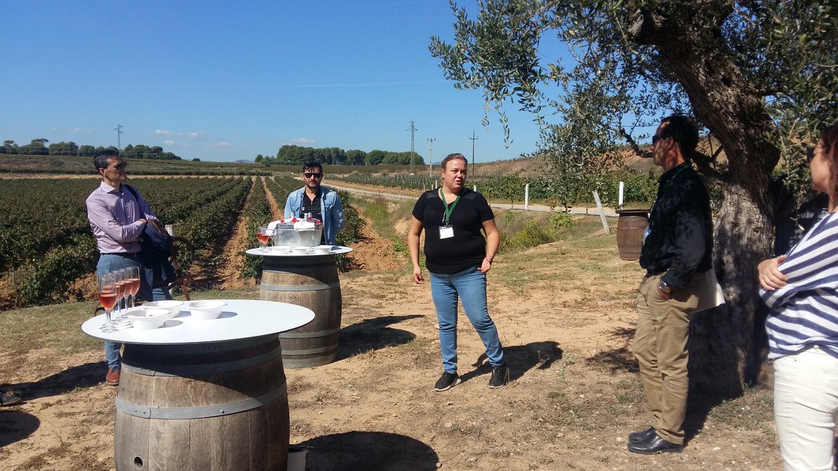 SigridGuillem's tweet photo. Magnífica visita a @cavatorreblanca de la mà de la Montse i el seu equip. Moltes gràcies! Projecte familiar a conèixer! 
| Curs #formadorencava 🍾 #institutdelcava @Institutdelcava | https://t.co/WBDBic47dP