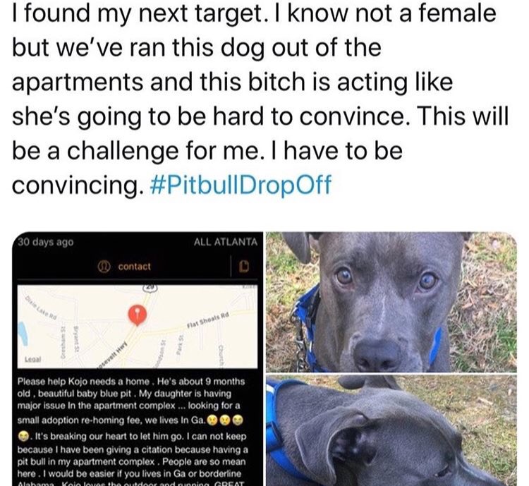 humanAn1mal5's tweet photo. This is unbelievable! 😡 Why’s does this have to happen? #StopAnimalCruelty https://t.co/v2mMMIEPyQ