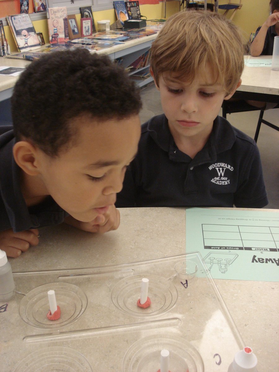 David Rogie tweet media