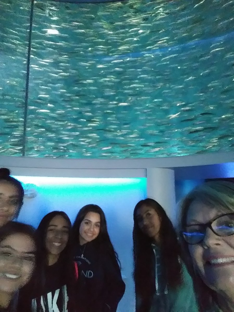 Beth Droge tweet media