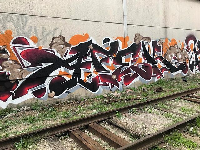 BombingScience's tweet photo. @afeks_rivas
#graffiti #graff #graffitiporn #instagraffiti #afeks https://t.co/eaQEkrJTwL | https://t.co/L6gX6KANHd
