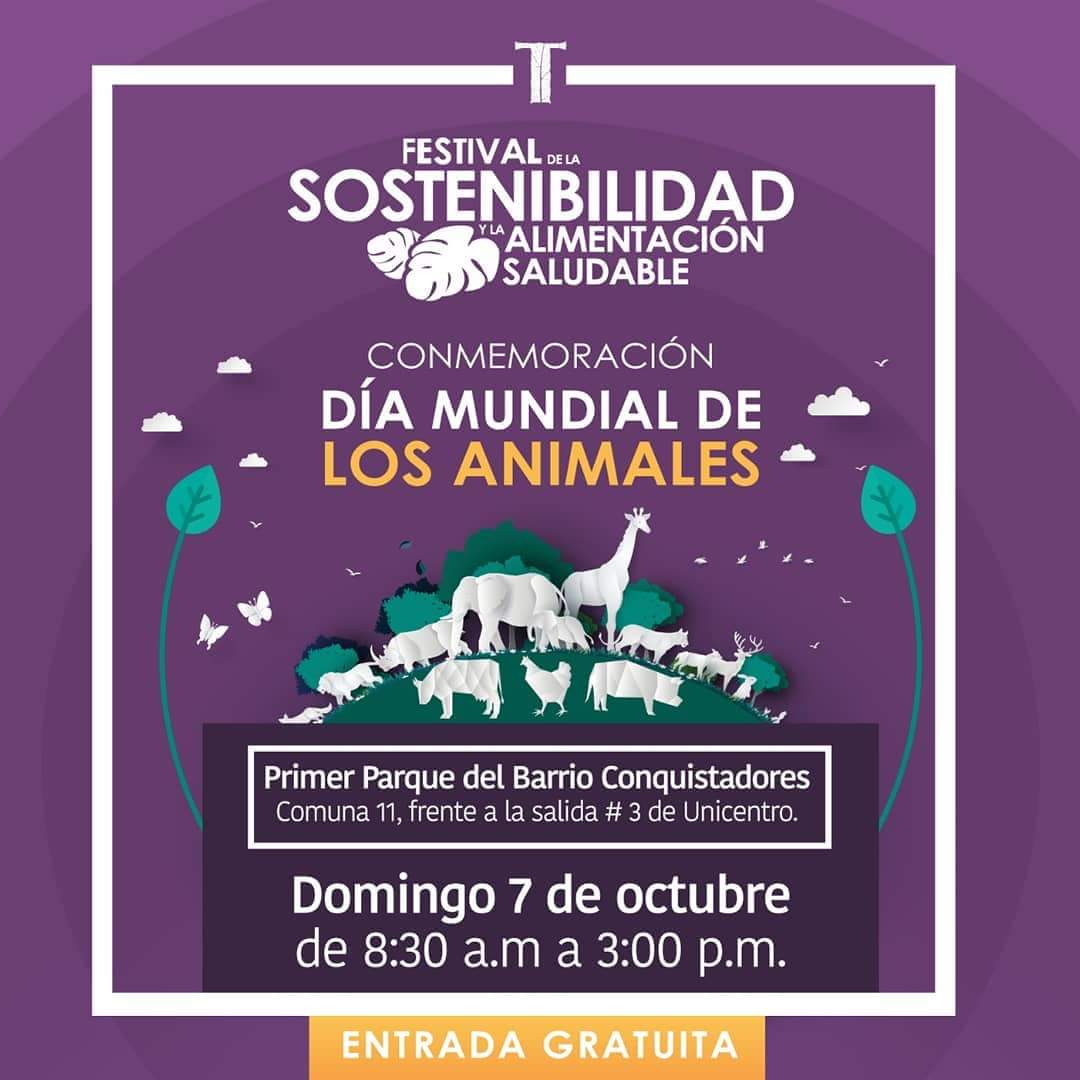 ElProfeSAN's tweet photo. Los esperamos a todos este Domingo 7 de Octubre para la proxima edición del Festival de la Alimentación Saludable #ElProfeSAN https://t.co/DNRvrus2BX