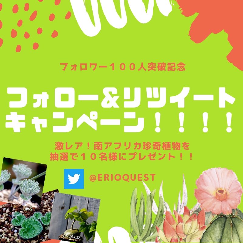 erioquest tweet picture