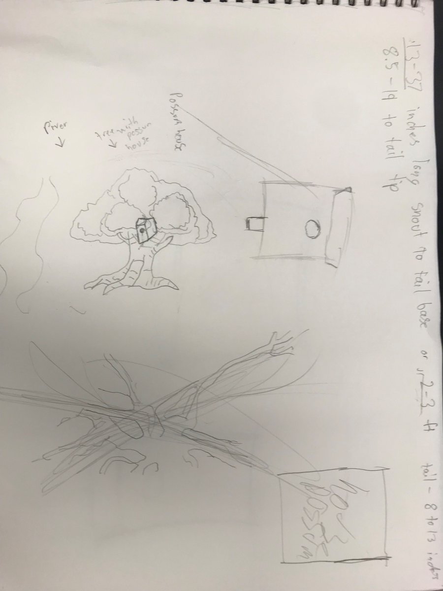 tickbusters28's tweet image. This is a drawing of  what our possum house may be like