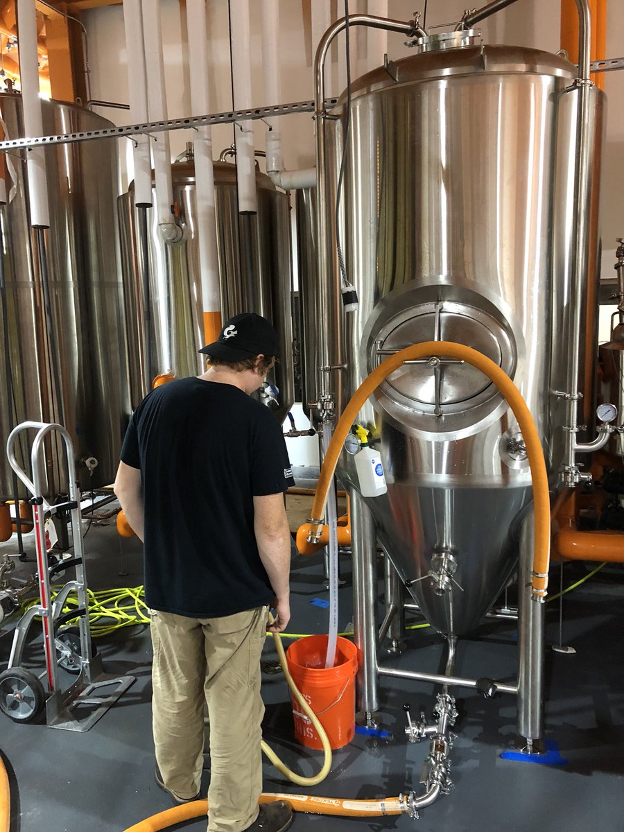 Mighty Squirrel Brewing Co Slowly But Steadily The Buildout Of Our Brewery Is Coming Along In Pic Mike Is Propagating The Mighty Squirrel House Yeast For Our Brews If Things Mighty Squirrel Brewing Co Slowly But Steadily The Buildout Of Our Brewery Is Coming Along In Pic Mike Is Propagating The Mighty Squirrel House Yeast For Our Brews If Things
