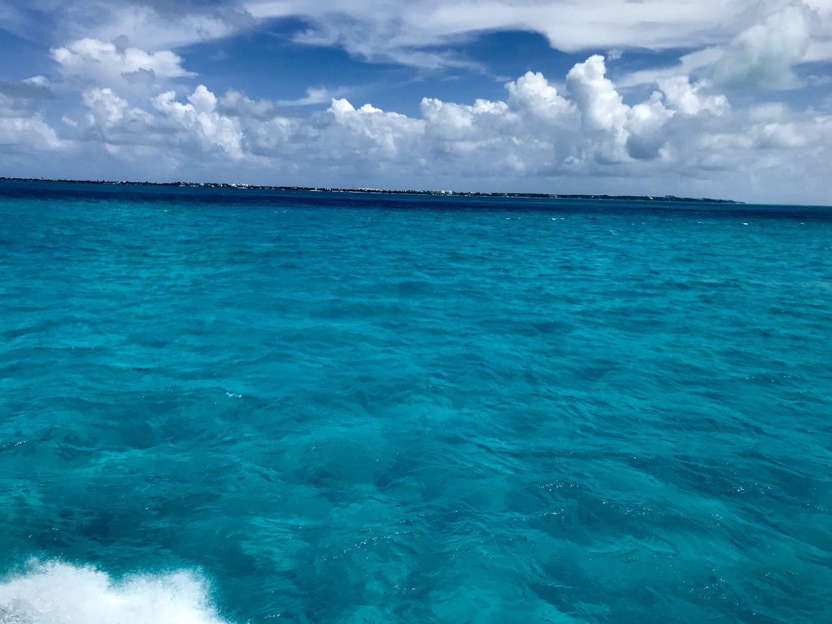 I found the colour of bliss in the Caribbean.  😁   #grateful