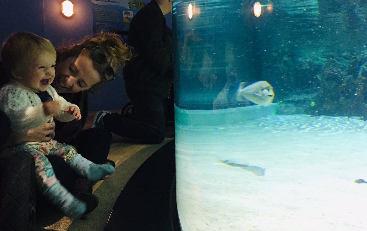 Beth_Goddard80's tweet image. When your baby sister and niece come to visit and you have 2 days of smiles and giggles and exploration of the world! 😊

@thedeephull #hull #fishies #smiles