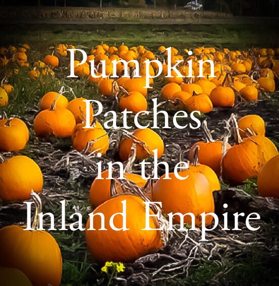 TeamSkolnick's tweet photo. We love Autumn!  It's pumpkin patch season! So we have searched the Inland Empire for the best pumpkin patches and festivals around!  Click the link below to find these awesome pumpkin patches and explore the website to see some stellar homes! 

https://t.co/LPyD6vLyCc https://t.co/aPOcr5ttqD