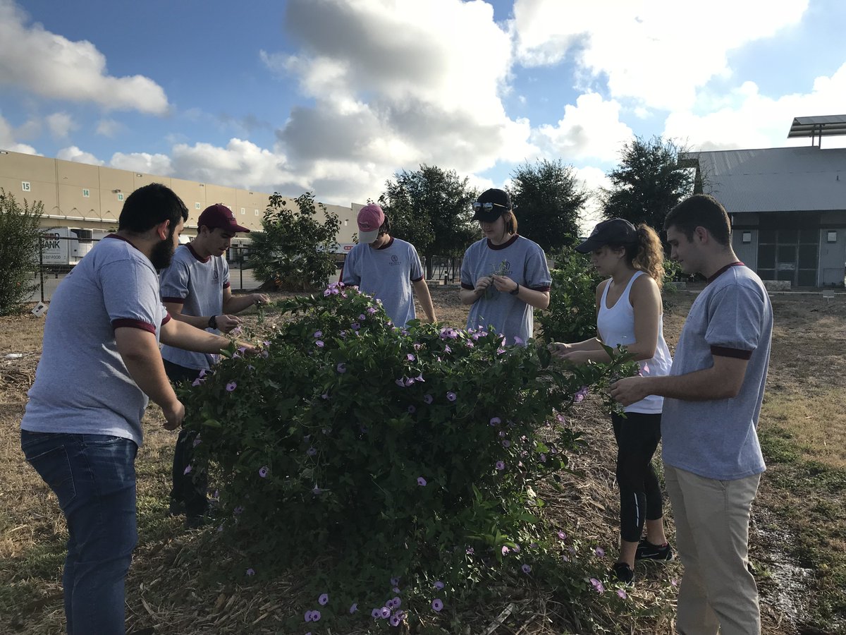 #TBT to a few weeks ago when some of our tigers volunteered at the San Antonio Food Bank and did some landscaping! #TigerPride