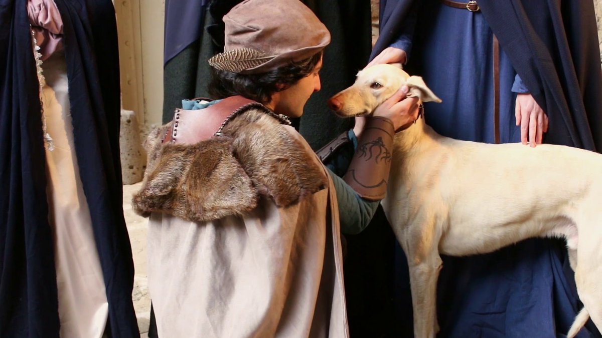 LeComteDeFay's tweet photo. Fêtons la journée mondiale des animaux avec Guinefort, le fidèle lévrier du prince Caspied aka Helios, galgo espagnol sauvé par l'association Lévrier mon Amour 🐶🤝🤴🏻

#worldanimalday #journeemondialedesanimaux #lecomtedefay #Webserie #galgo https://t.co/SUa7VGO6Z7