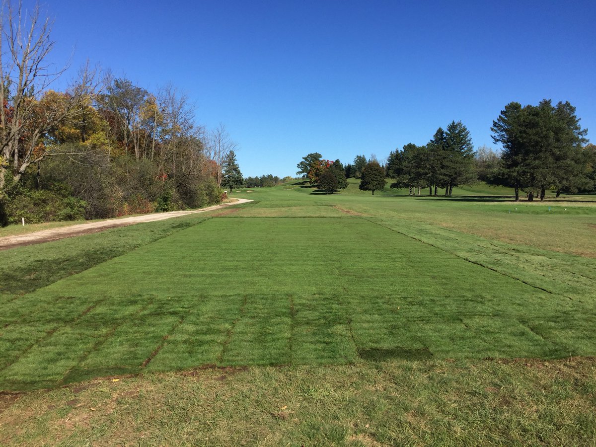 Cutten Turfgrass tweet media