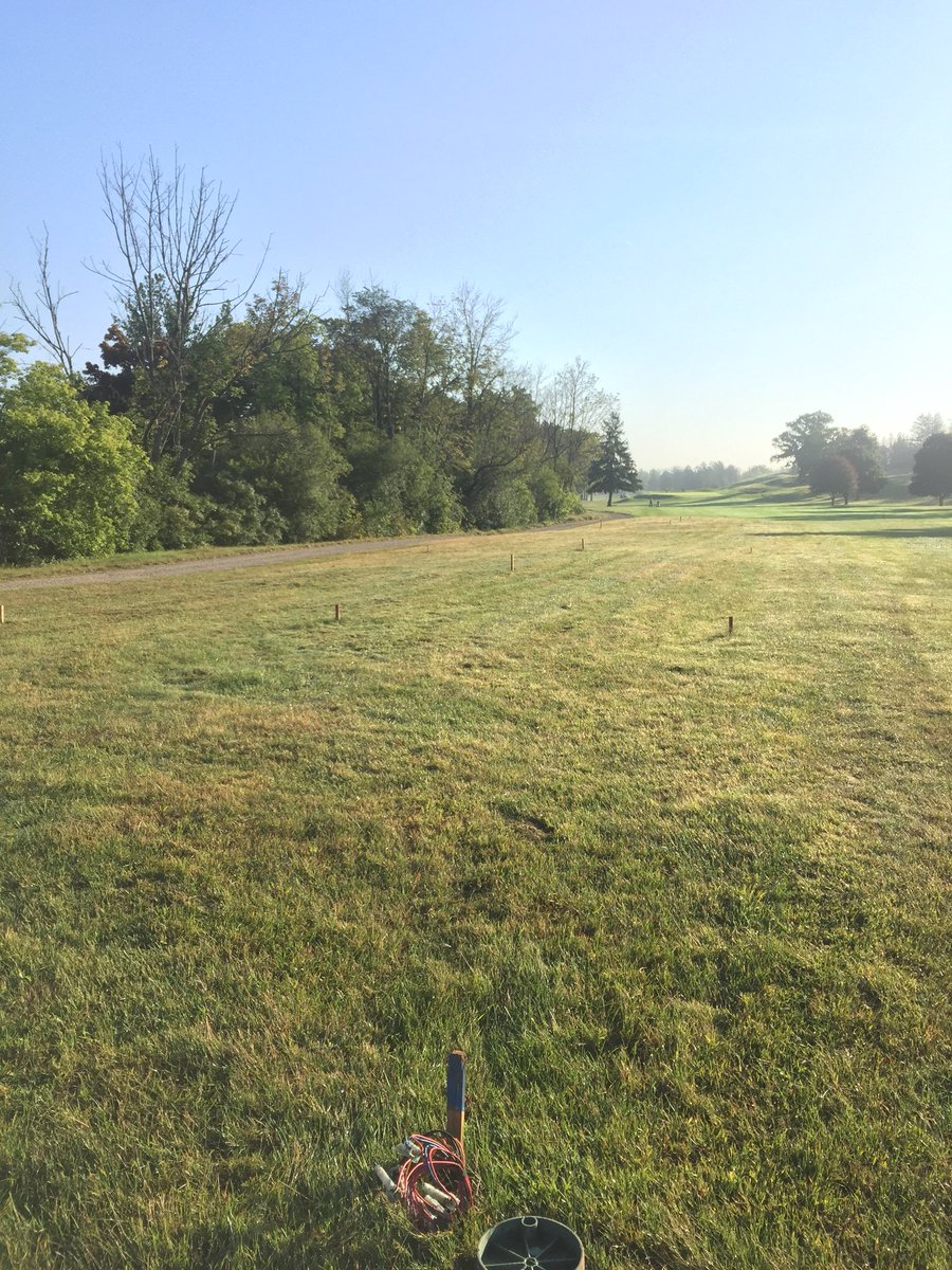 Cutten Turfgrass tweet media