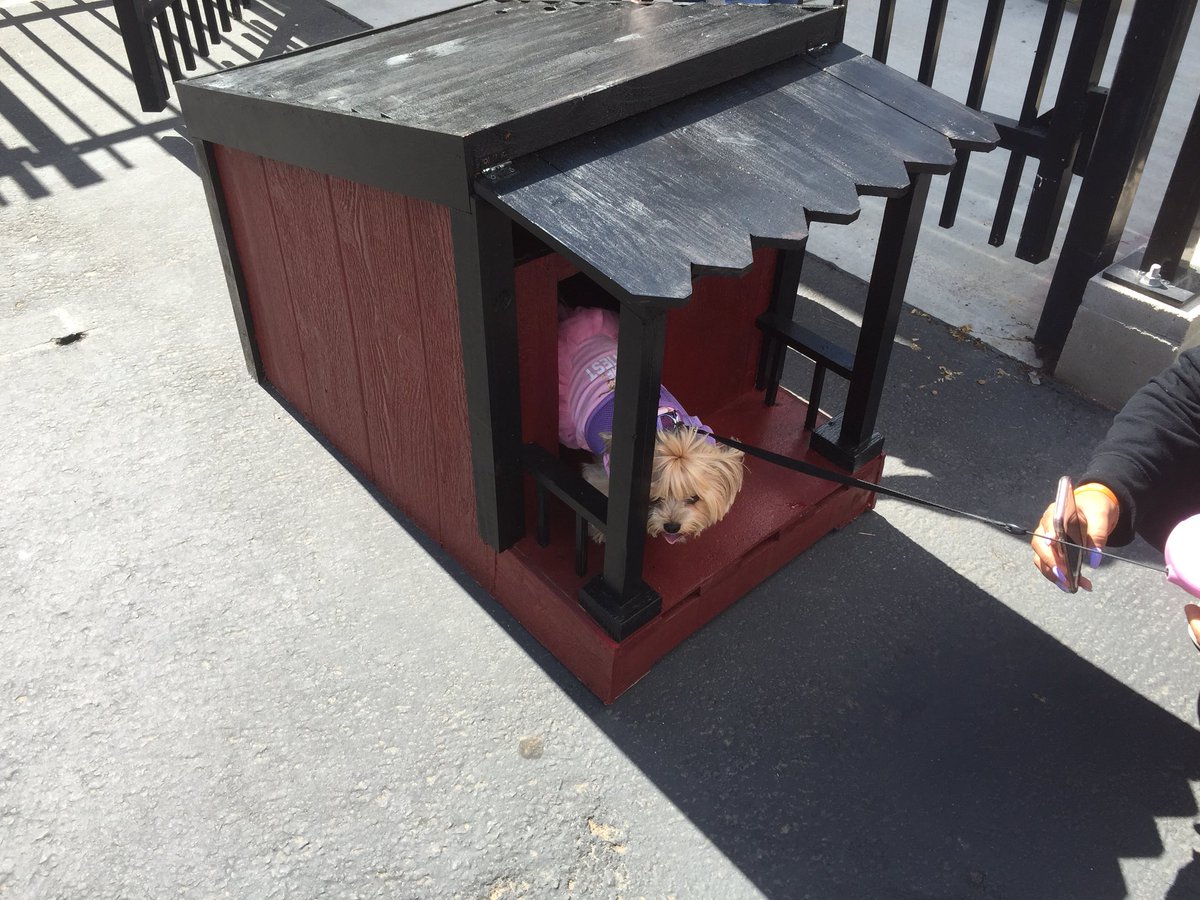 myersatidea1's tweet photo. Another happy customer! My Advanced students are making dog houses! #IDEACenterHS #guhsd #huts4mutts #ideacenterasb #CTE https://t.co/WTR1ndZyP7