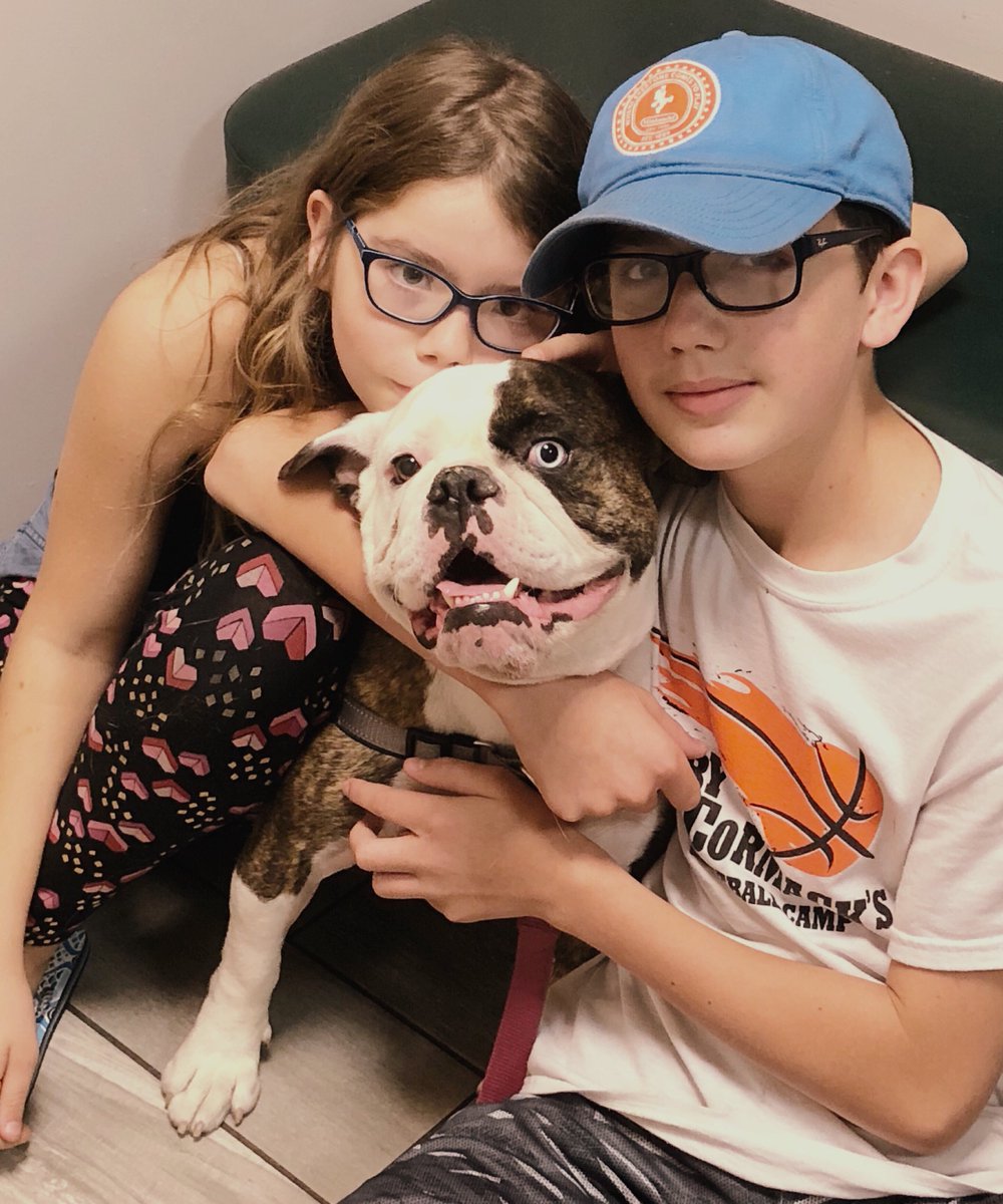 KingsburyAH's tweet photo. GG! This sweet girl has been with her family since she was a pup but she’s new to us and she is one good looking dog. 
#welcometothefamily https://t.co/SUL1KjH21a