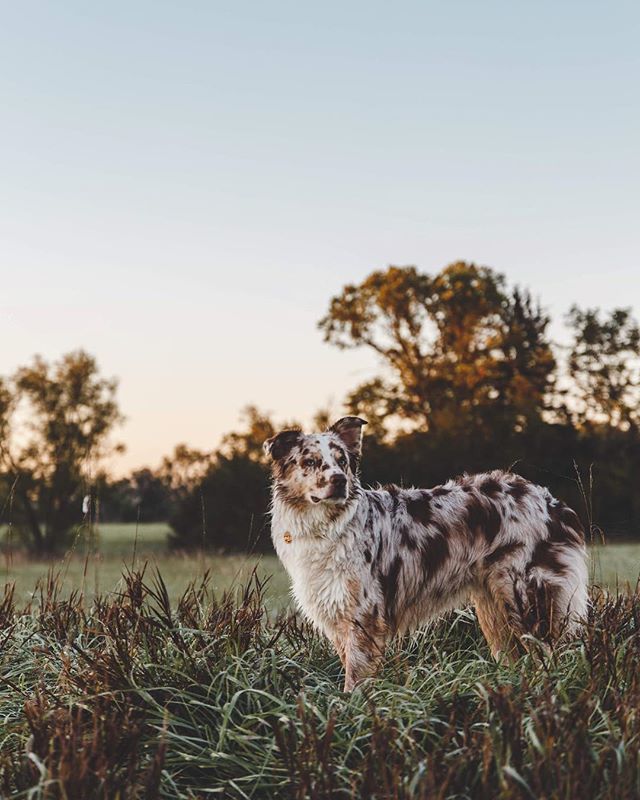 mavtheaussie's tweet photo. Is that the weekend I see on the horizon?? https://t.co/tscgczx8gZ https://t.co/elSx5B6Cng