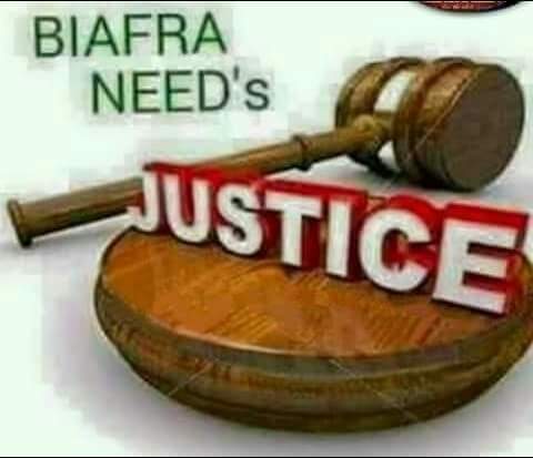 ngoziperpee's tweet photo. #Boycott2019Election #SayNoToPVC #SayNoTo1Nigeria
4Biafrans who are fathered by a Biafran
If you SPEAK against #BOYCOTT trace ur genealogy 4sth must be wrong
@Amaka_Ekwo @EmekaGift @NkirukaNistoran @radiobiafralive @sunrisebtv @7dressesuk @BiafraHerald @Umuchiukwu_writ @AnyaLne1 https://t.co/qcMSiAZRzg