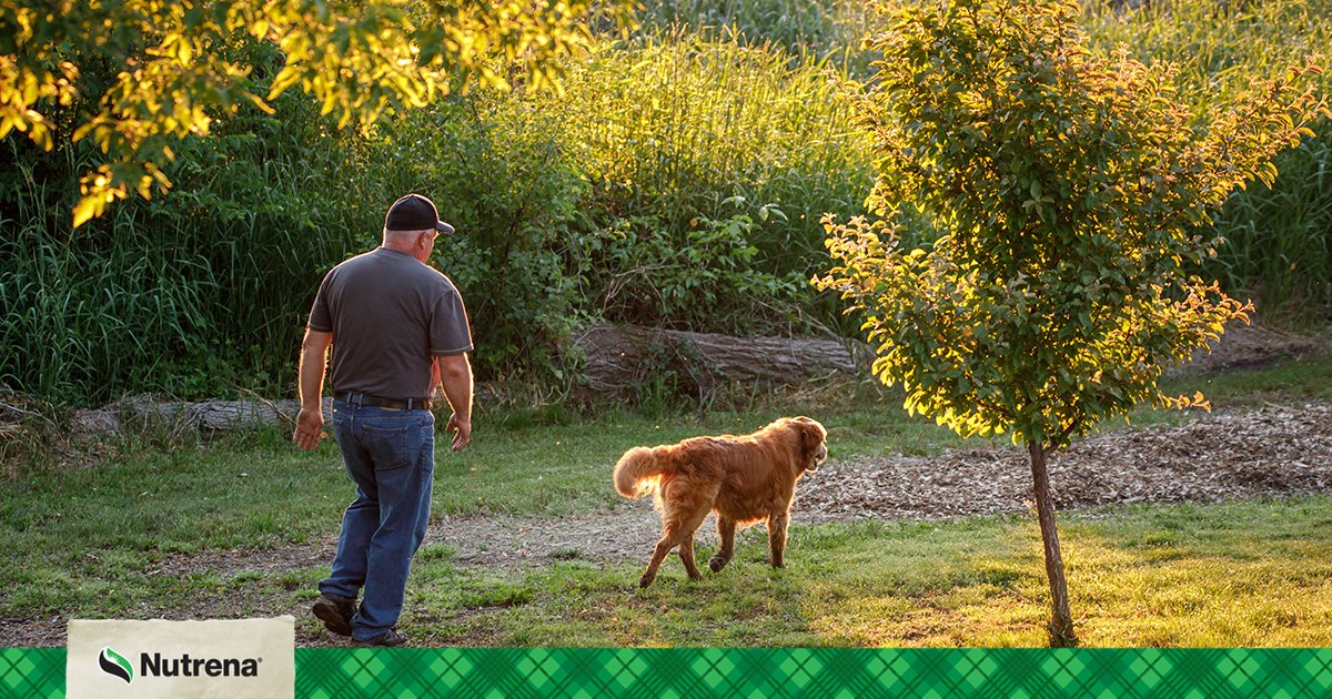 stoltzfusfeed's tweet photo. Fall allergies bringing you down? You may not be the only one. Your furry friends might have allergies too. #nutrena #fallallergies https://t.co/ihyERXQMm1 https://t.co/0TDAK1KbHB