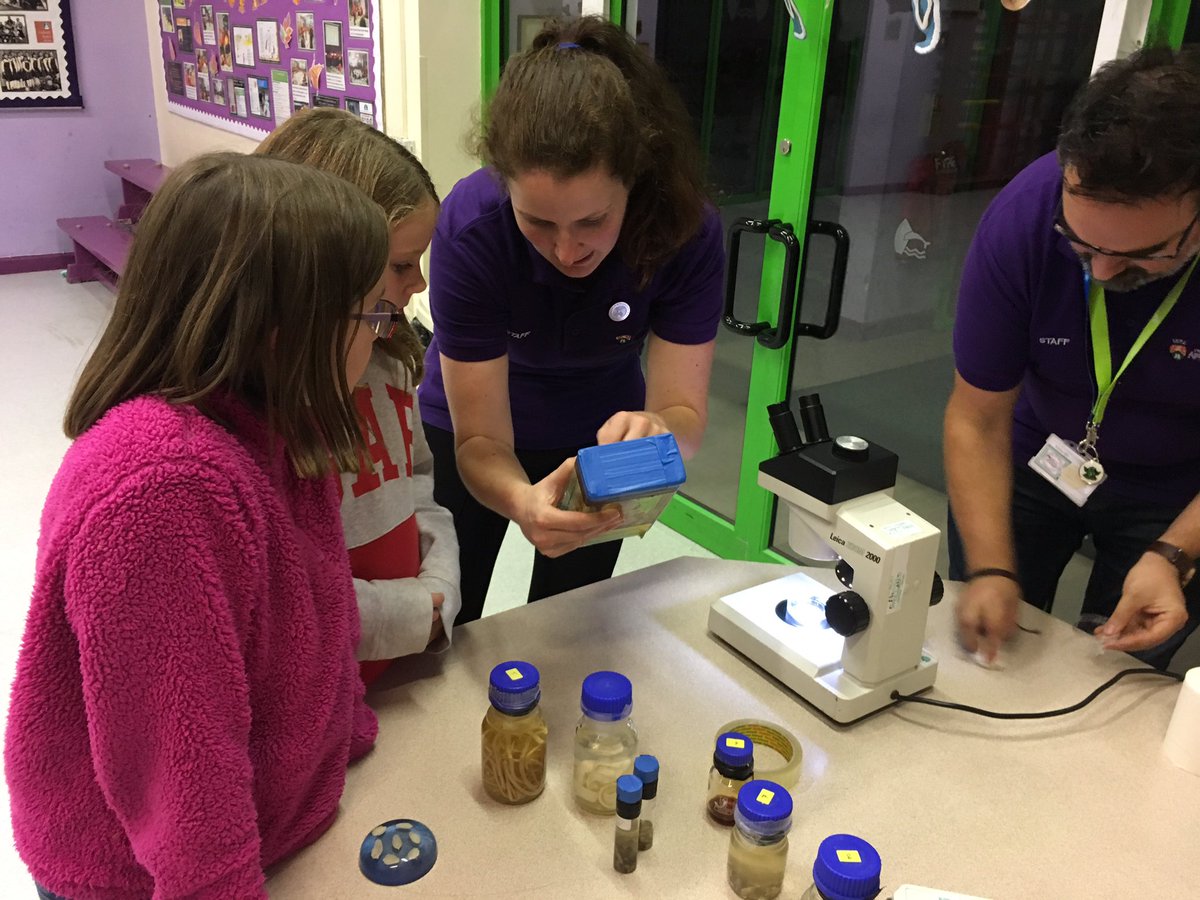 ElinMair77's tweet photo. Diolch yn fawr @RussMorphew @M4berN Helen a Holly o @Prifysgol_Aber am noson ddifyr iawn yn Adran Aberystwyth @UrddCeredigion yn sôn am barasitiaid a robotiaid. Pawb wedi joio mas draw ac wedi dysgu llawer 🤖🐛🤖🐛 @ibers_aber @NeilNfg @gwerfylpj @Nwdls @yrawrgymraeg https://t.co/gsJcPI8A6g