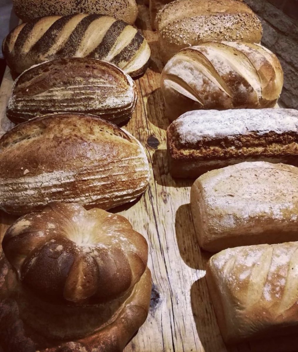 Calcot_and_Spa's tweet photo. #Sourdough’s hit the headlines recently. Head Baker Matt wants to let everyone know that our #CalcotBakery loaves are authentic - flour, salt, water and starter culture. Matt’s culture is over 10 years old and is named ‘Snow’. Calcot’s own culture is called ‘Barney’ 🤓#realbread https://t.co/oRoxRtY640