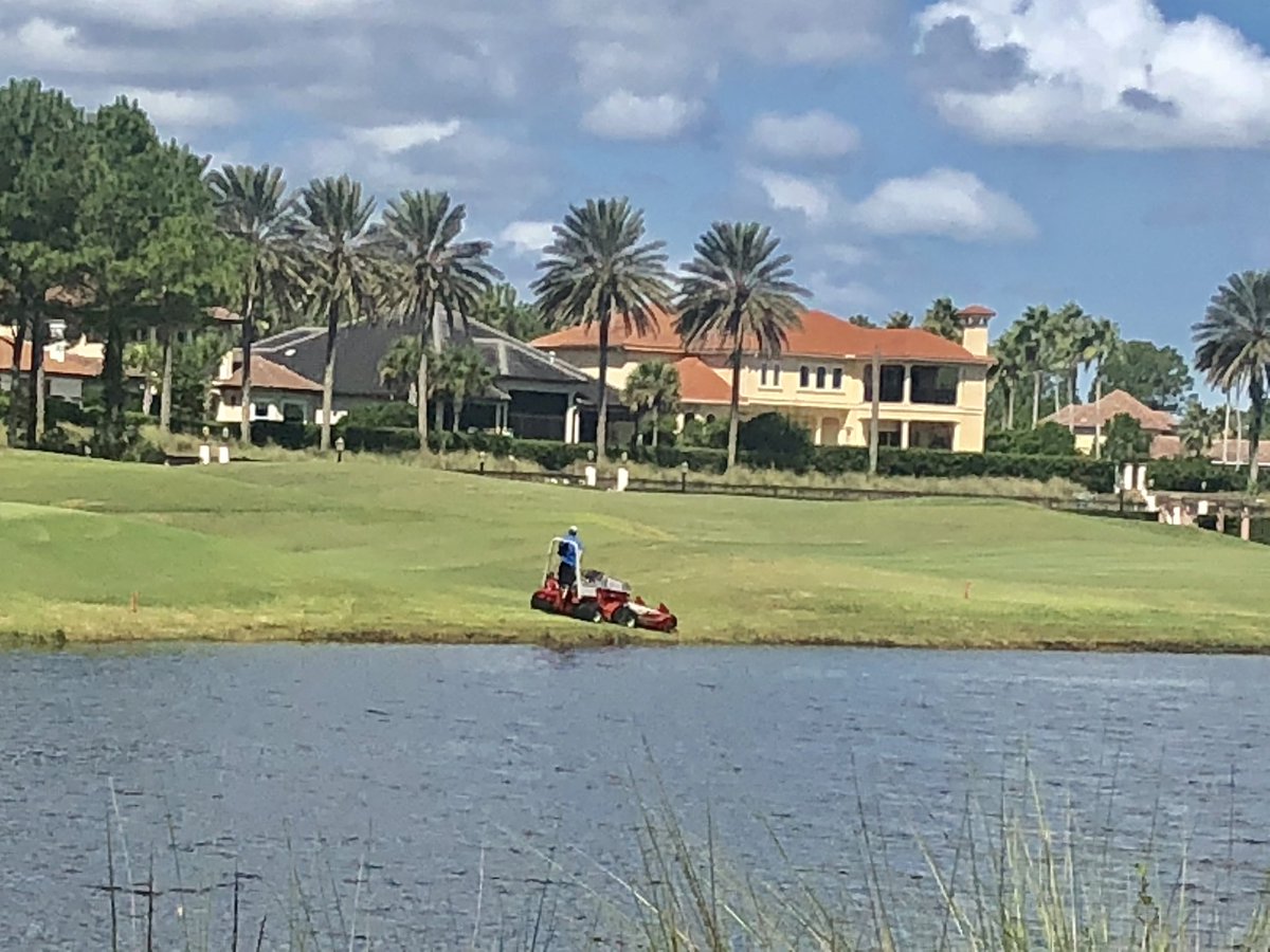 David B Levin tweet media