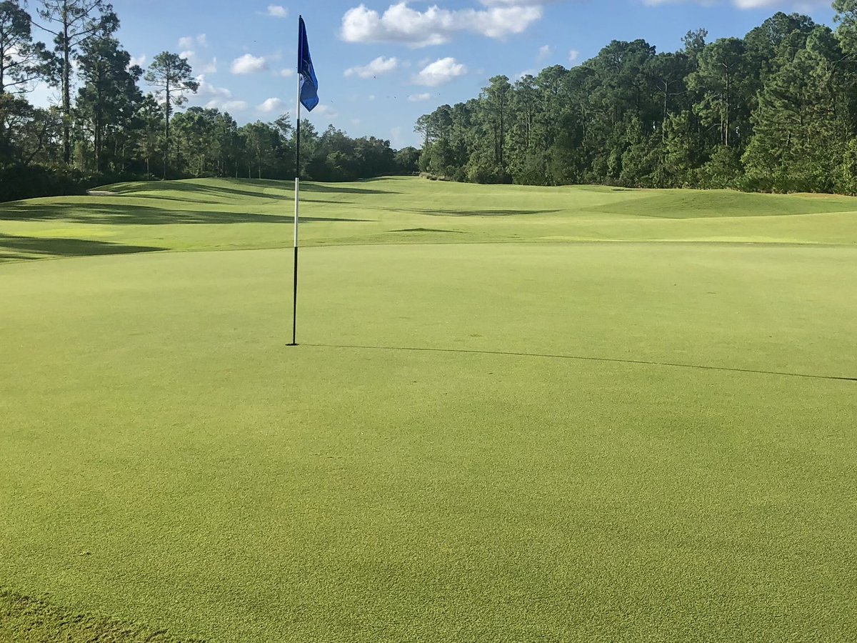 David B Levin tweet media