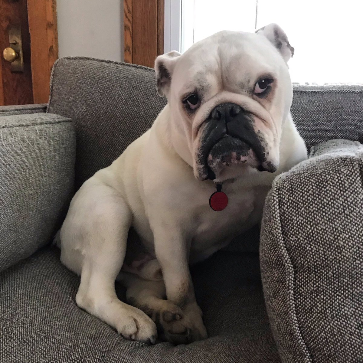 MagooCrew's tweet photo. Why do I look guilty, you ask?  I don’t know, why don’t you tell ME why I “look guilty...” #thesearchison https://t.co/B8IochPTtf
