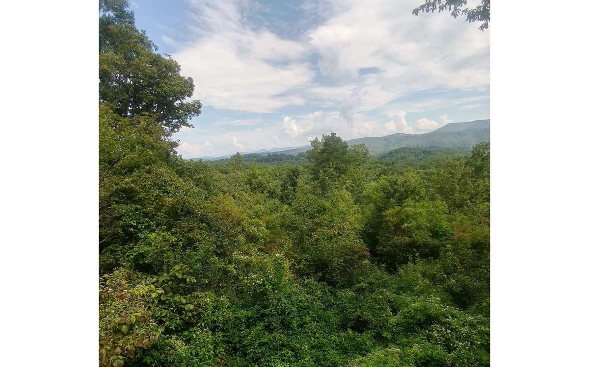 Kristy Petrillo On Twitter Check Out My Listing In Blueridge