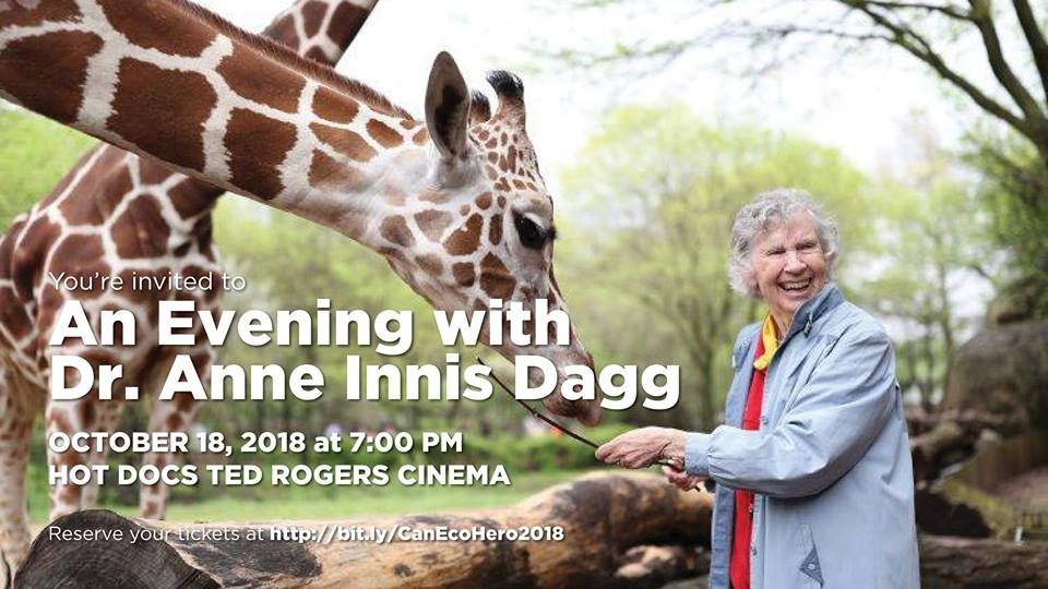 PlanetinFocus's tweet image. Every year at Planet in Focus #FilmFestival, we shine a light on the environmental stewardship of one International &amp;amp; one Canadian #EcoHero.

At #PiF2018, we're celebrating Anne Innis Dagg (The Woman Who Loves Giraffe) &amp;amp; John Francis (The Planet Walker): buff.ly/2Jyqwes