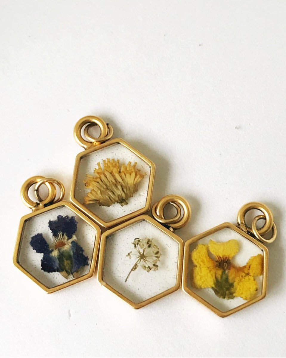 Etsy's tweet image. Pressed flowers live forever. etsy.me/2NFH8YY