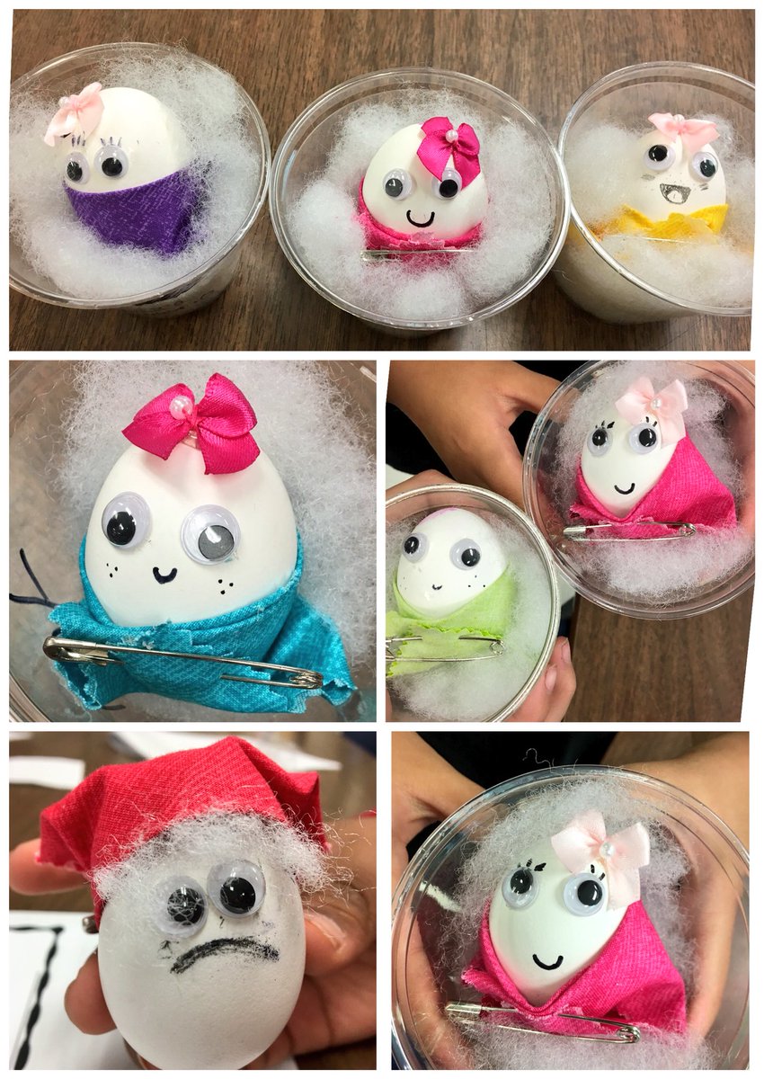 egg baby project