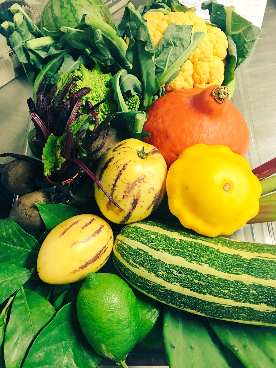 nutsfood's tweet photo. Great day inspiring guests @NuttersOfficial #NuttersMasterclass showcasing seasonal produce with flair and imagination - Masterclasses are first Thursday of each month but 3 in November - one evening one too 😎 https://t.co/8THFjtn1Qp