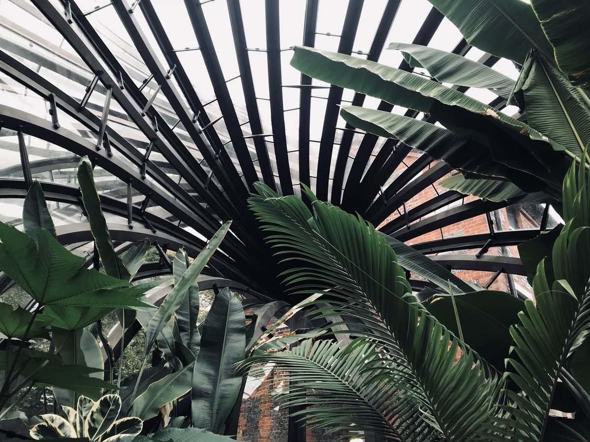 sarah_ellen_d's tweet image. Great fun learning all about gin at the home of Bombay Sapphire @homeofbombay #bombaydistillery #laverstokemill