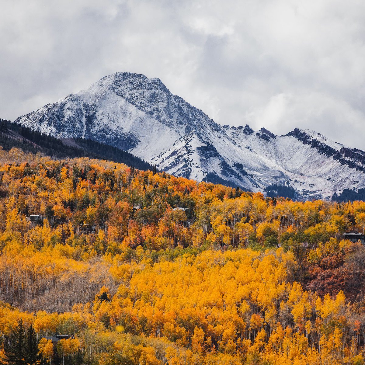 AspenSnowmass's tweet photo. This just in: https://t.co/igFAJVAxje