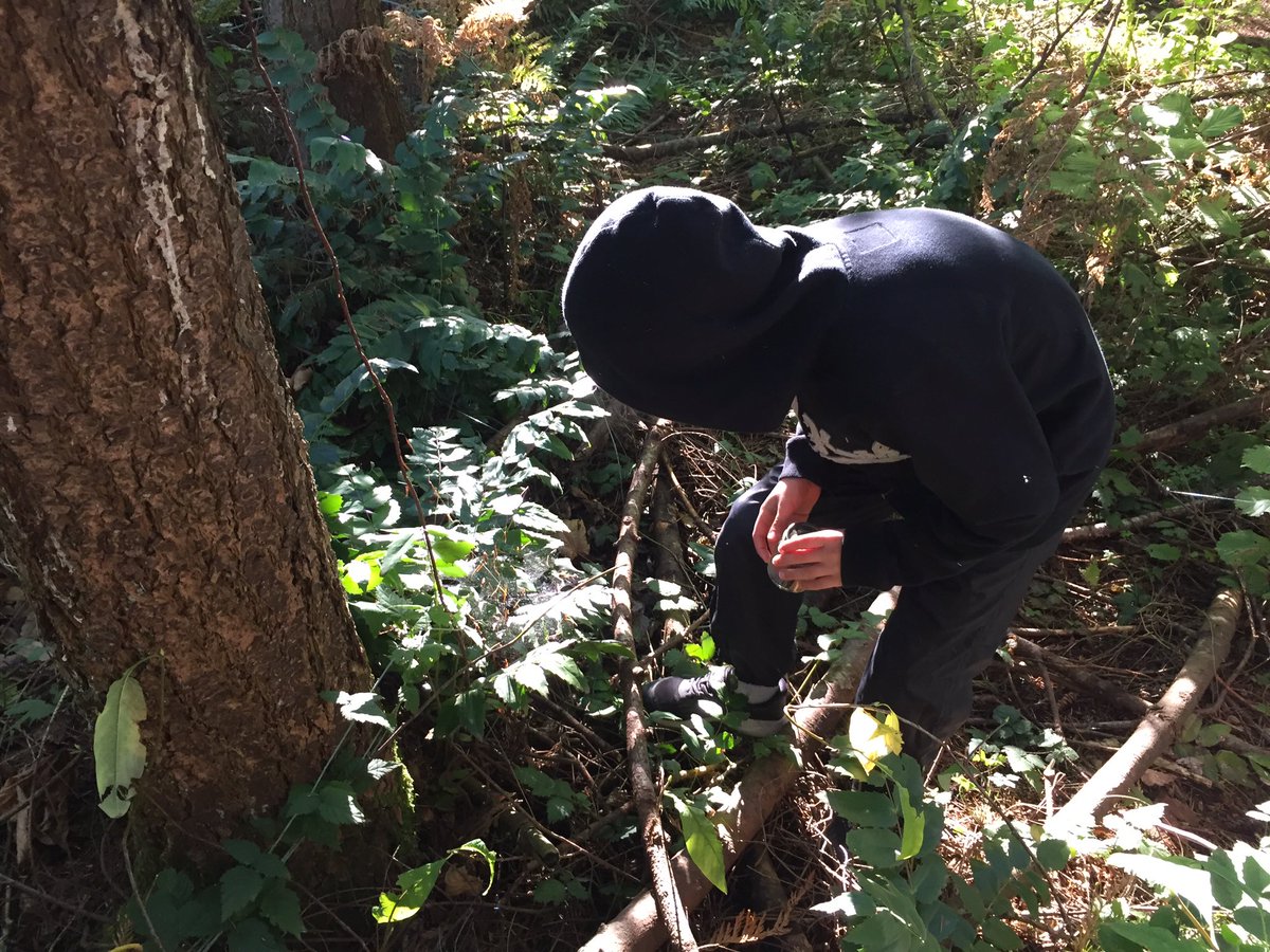 Going on a spider hunt! #forestclassroom #observationalinquiry #ethicofcare #cambridgelearns #sd36learns #corecompetencies