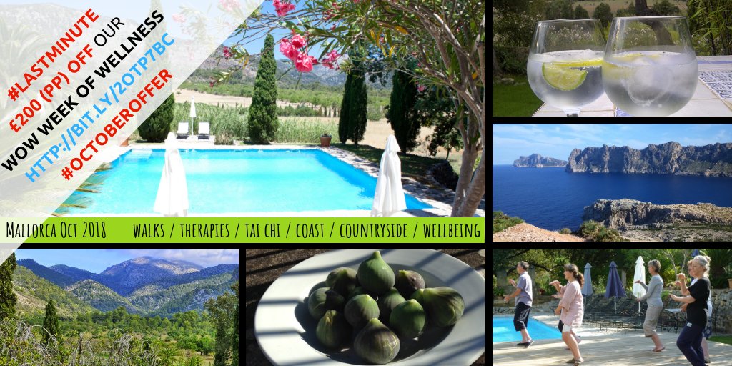 WoW Week Of Wellness tweet media