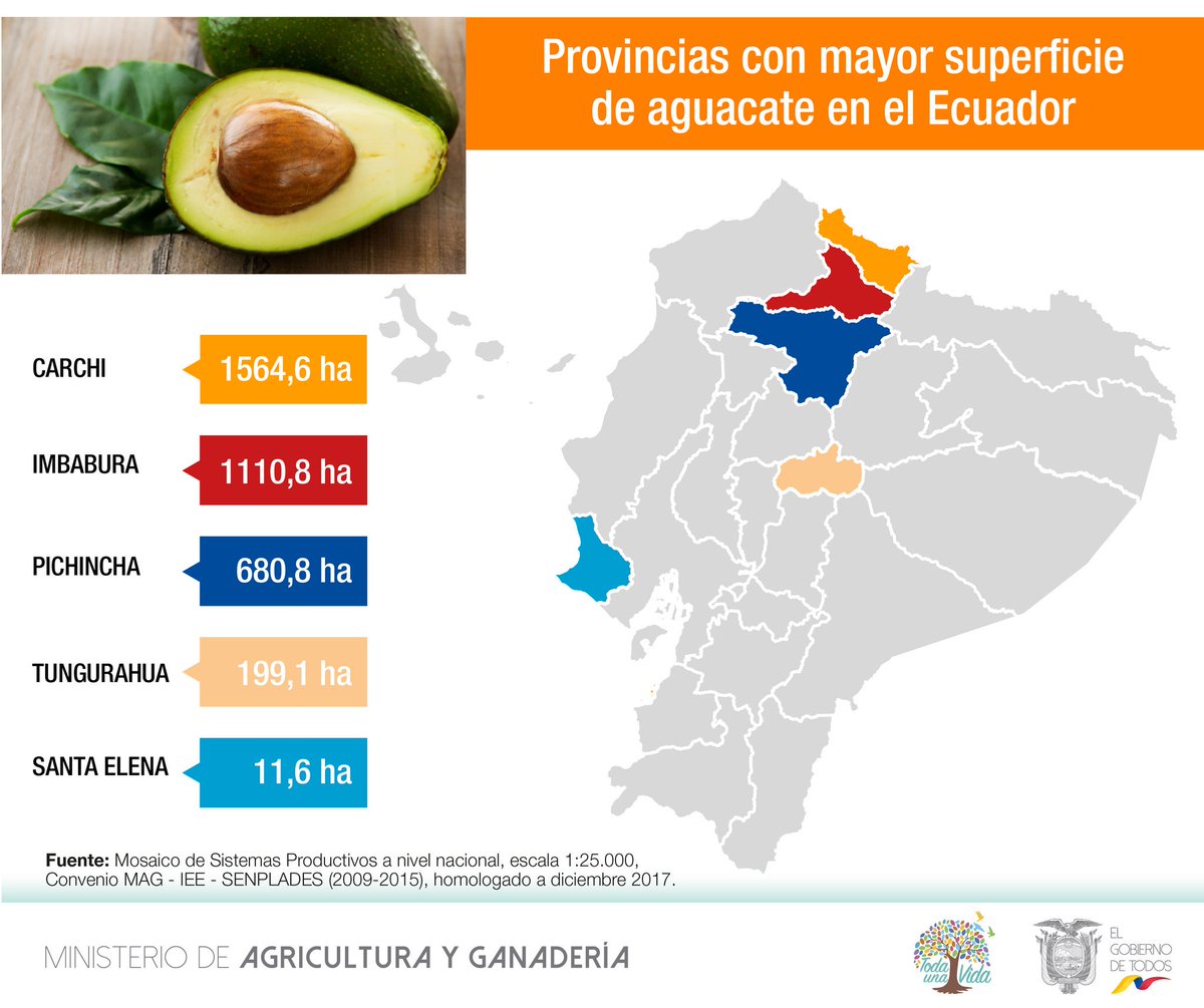 Ministerio De Agricultura Y Ganaderia בטוויטר El Aguacate Se