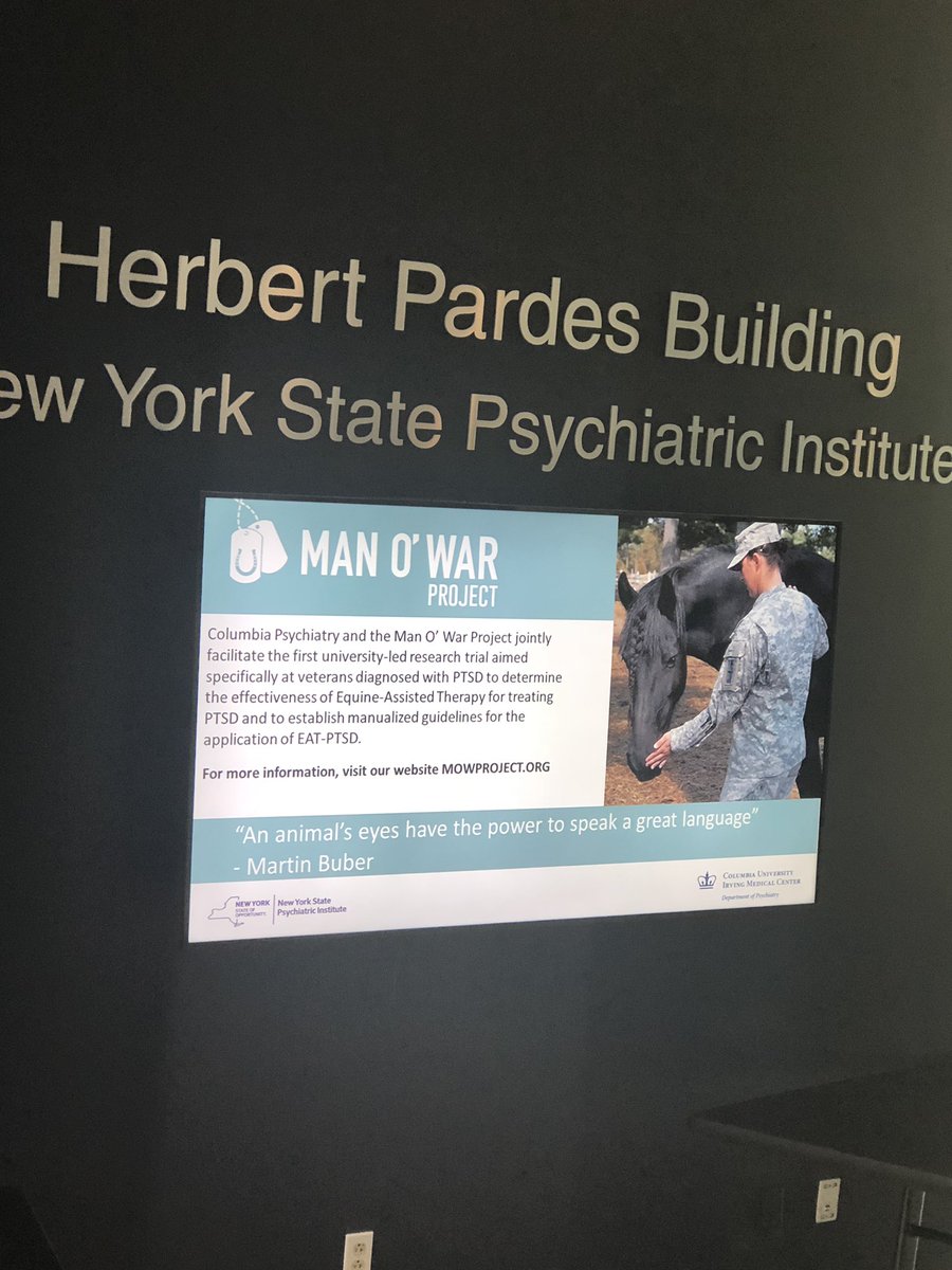 DrewRamseyMD's tweet photo. Great project @ColumbiaPsych treating #PTSD with equine therapy! Check it out #manowarproject @DrJlieberman @APAPsychiatric https://t.co/Hz66k0jakG