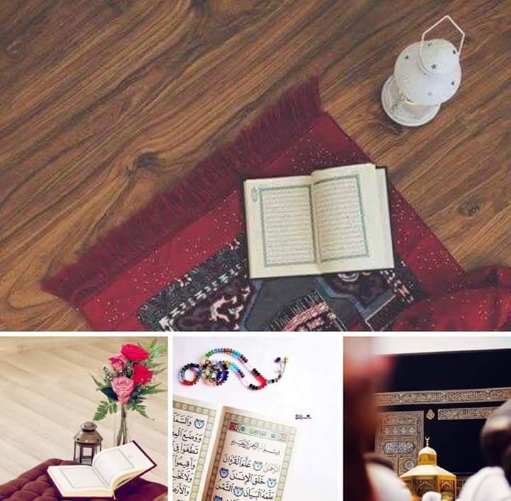 MomalNaz's tweet photo. 💕اَلْحَقُّ مِنْ رَّبِّكَ فَلَا تَكُنْ مِّنَ الْمُمْتَـرِيْنَ •
حق وہی ہے جو تیرا رب کہے پھر تو شک کرنے والوں میں سے نہ ہو۔💕

🌸سورۃ آل عمران🌸

M I S H I ✨🌸 https://t.co/1PdYPinjQa