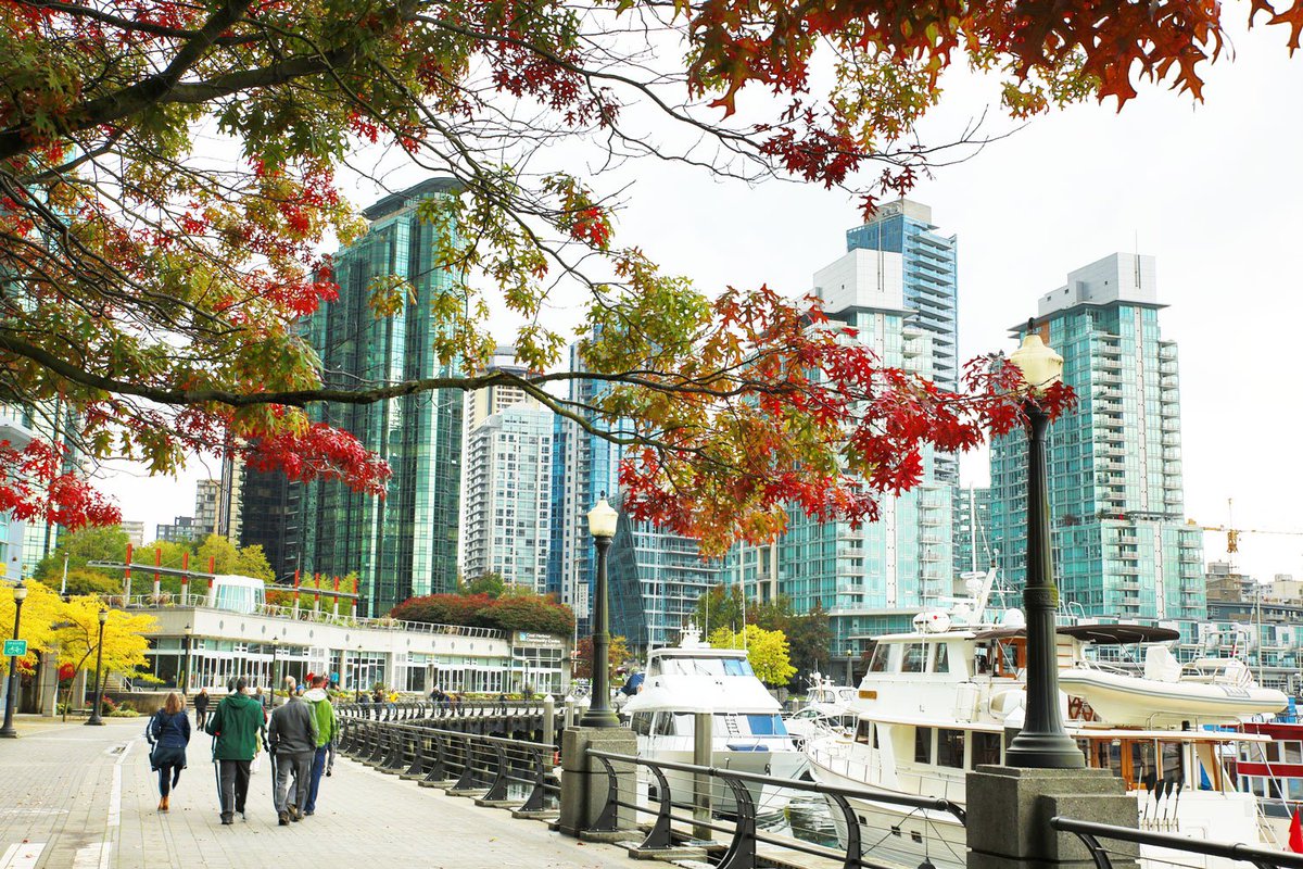 IUFC_2018's tweet photo. What a great way to finish IUFC 2018 with Keynote Panel Debate. 
Hope you enjoyed the city of Vancouver and the congress as much as we did - thank you for being part of it! 

#IUFC2018 #UrbanForestry #UrbanTrees https://t.co/oB8ORqFgUU