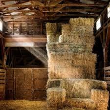 coachyoung75's tweet image. The Hay is in the Barn!! #EAT #SQUAD18