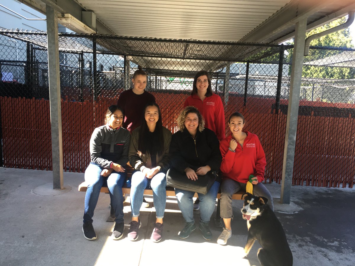 Matter Portland tweet media