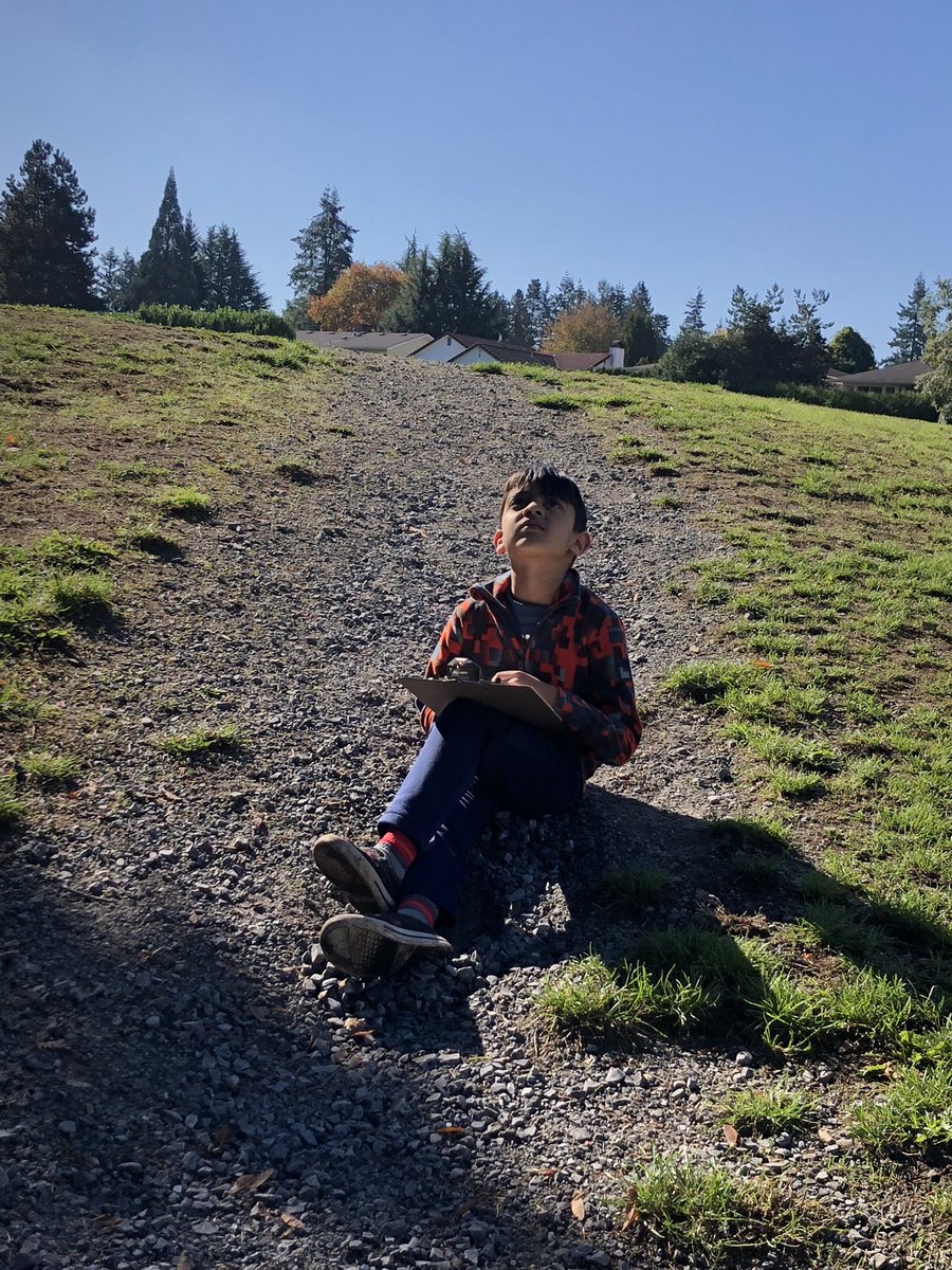 MelanieASidney's tweet photo. Another visit from the Nature Gnome! @BrookeElem @perfinker #walkingcurriculum https://t.co/9nGk89Frt2