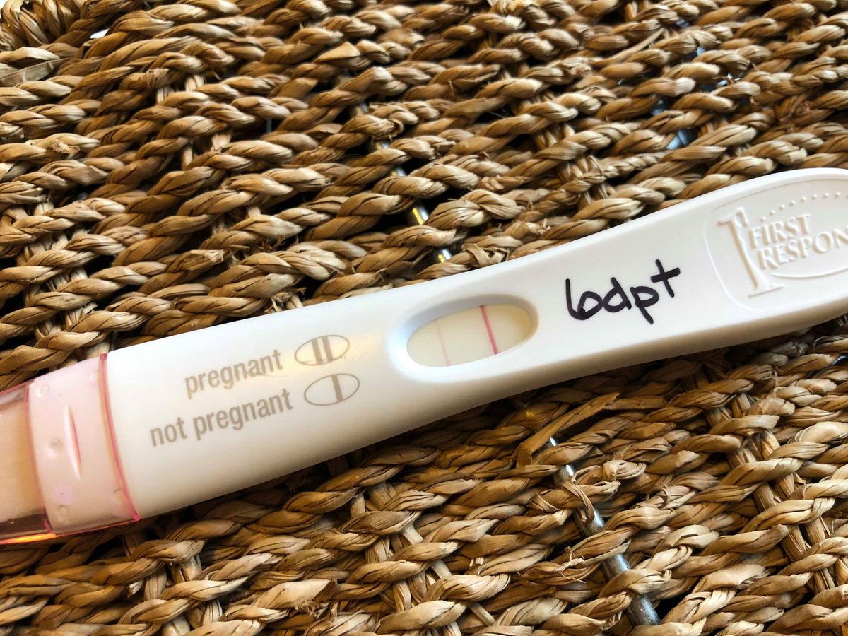 surrogacycanada's tweet photo. We are going to have a baby boom in 2019 with all these positive sticks lately!! #surrogacy #surrogacycanada #itspositive https://t.co/3GuaKocAf6